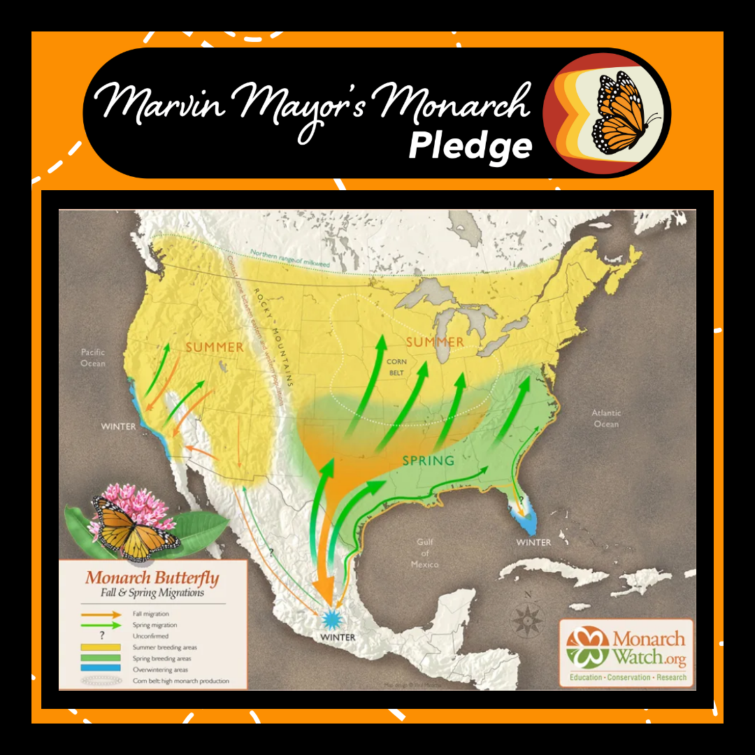 Monarch Migration Map